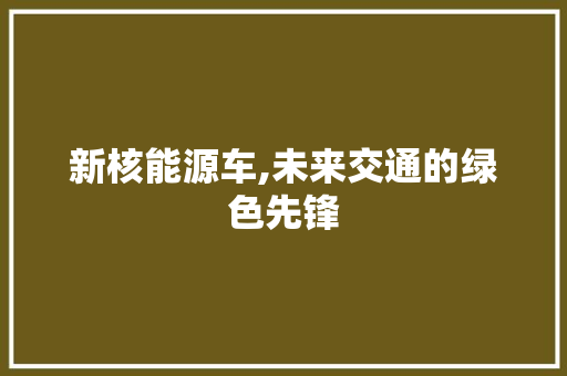 新核能源车,未来交通的绿色先锋