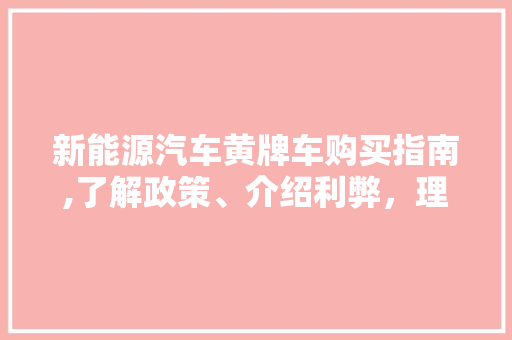 新能源汽车黄牌车购买指南,了解政策、介绍利弊，理性购车