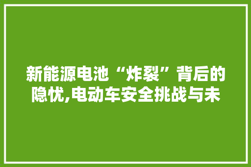 新能源电池“炸裂”背后的隐忧,电动车安全挑战与未来展望