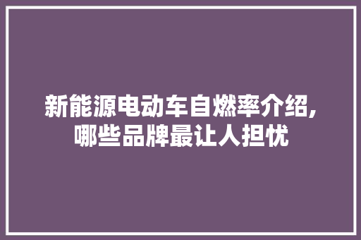 新能源电动车自燃率介绍,哪些品牌最让人担忧