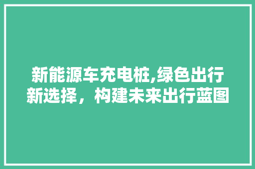 新能源车充电桩,绿色出行新选择，构建未来出行蓝图