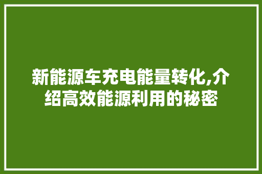 新能源车充电能量转化,介绍高效能源利用的秘密