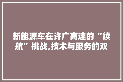 新能源车在许广高速的“续航”挑战,技术与服务的双管齐下