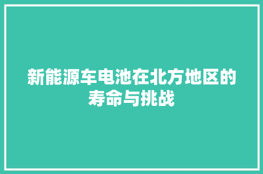 新能源车电池在北方地区的寿命与挑战
