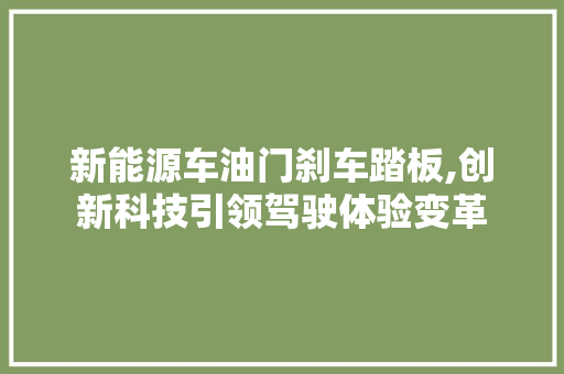 新能源车油门刹车踏板,创新科技引领驾驶体验变革