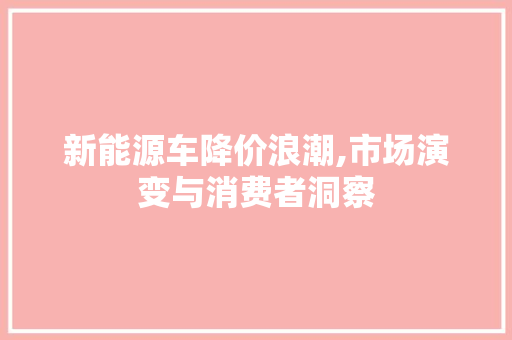 新能源车降价浪潮,市场演变与消费者洞察