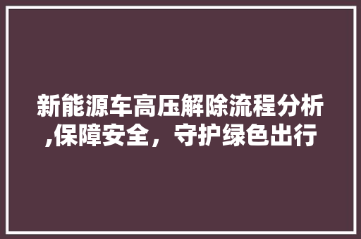 新能源车高压解除流程分析,保障安全，守护绿色出行