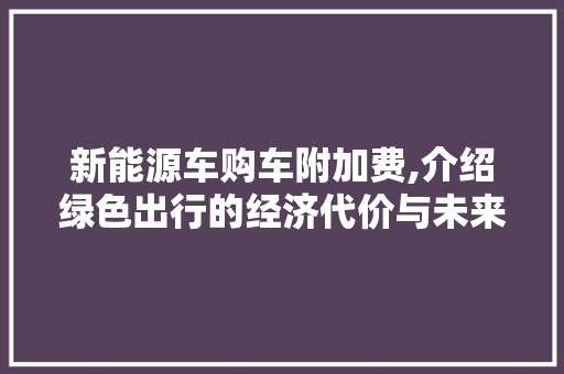 新能源车购车附加费,介绍绿色出行的经济代价与未来趋势