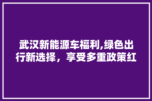 武汉新能源车福利,绿色出行新选择，享受多重政策红利