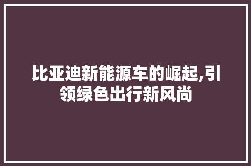 比亚迪新能源车的崛起,引领绿色出行新风尚