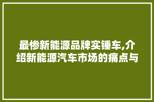 最惨新能源品牌实锤车,介绍新能源汽车市场的痛点与挑战