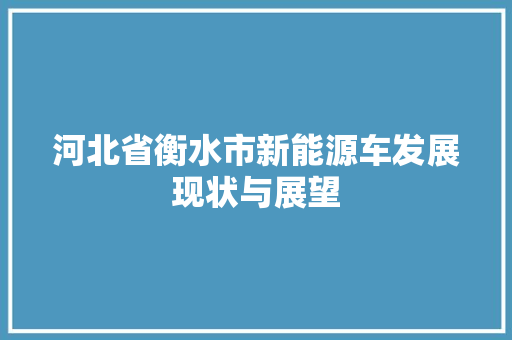 河北省衡水市新能源车发展现状与展望