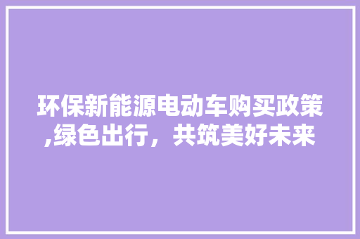 环保新能源电动车购买政策,绿色出行，共筑美好未来
