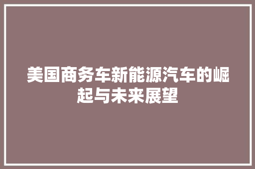 美国商务车新能源汽车的崛起与未来展望