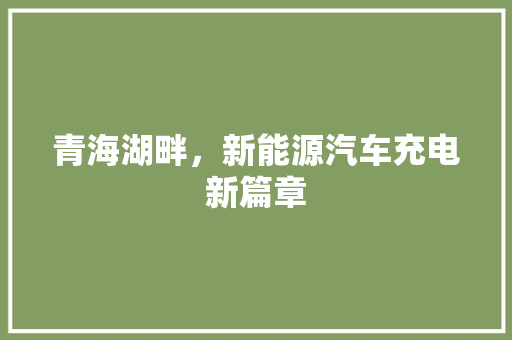 青海湖畔，新能源汽车充电新篇章