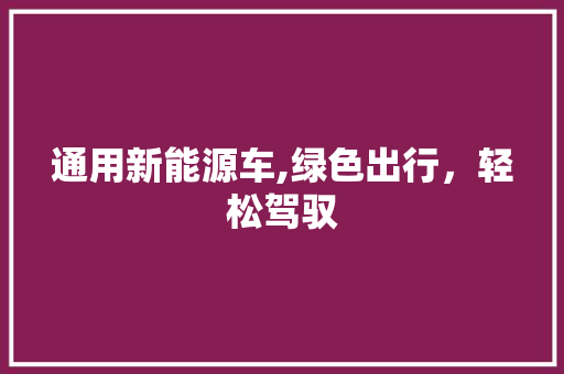 通用新能源车,绿色出行，轻松驾驭