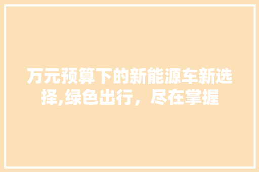 万元预算下的新能源车新选择,绿色出行，尽在掌握