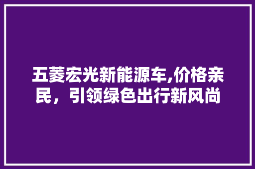 五菱宏光新能源车,价格亲民，引领绿色出行新风尚