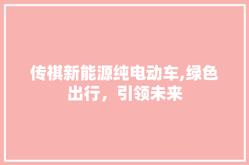 传祺新能源纯电动车,绿色出行，引领未来