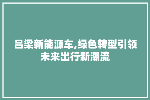 吕梁新能源车,绿色转型引领未来出行新潮流