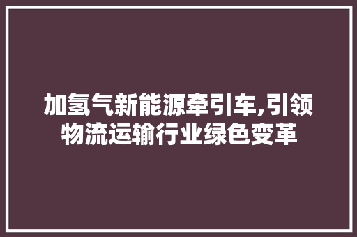 加氢气新能源牵引车,引领物流运输行业绿色变革