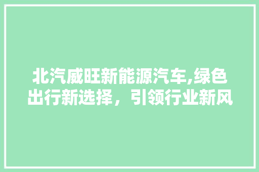 北汽威旺新能源汽车,绿色出行新选择，引领行业新风尚