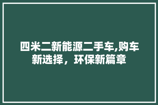 四米二新能源二手车,购车新选择，环保新篇章