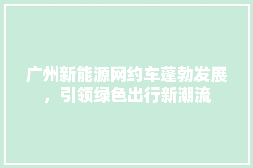 广州新能源网约车蓬勃发展,引领绿色出行新潮流