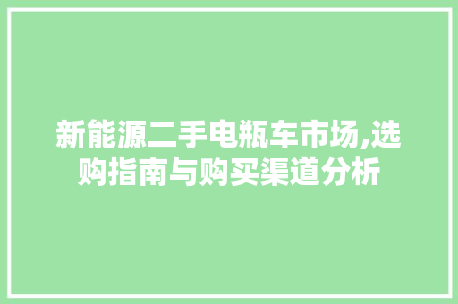 新能源二手电瓶车市场,选购指南与购买渠道分析