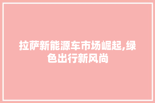 拉萨新能源车市场崛起,绿色出行新风尚