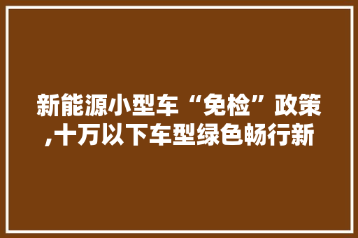 新能源小型车“免检”政策,十万以下车型绿色畅行新纪元