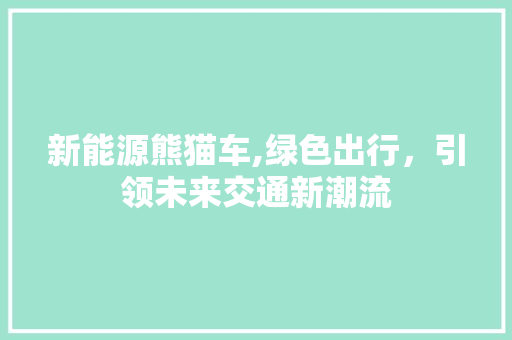 新能源熊猫车,绿色出行，引领未来交通新潮流