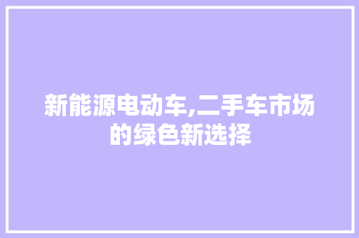 新能源电动车,二手车市场的绿色新选择