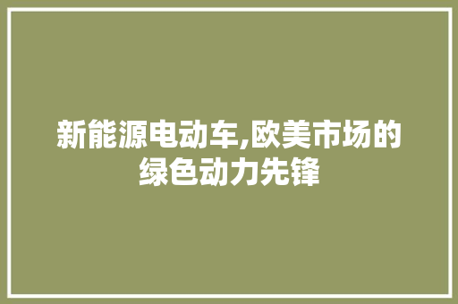 新能源电动车,欧美市场的绿色动力先锋