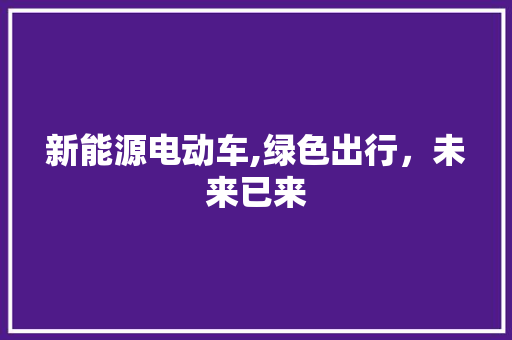 新能源电动车,绿色出行，未来已来