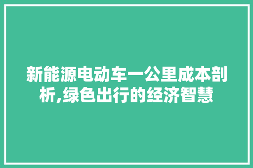 新能源电动车一公里成本剖析,绿色出行的经济智慧