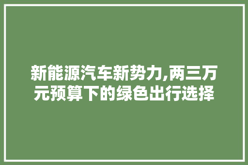 新能源汽车新势力,两三万元预算下的绿色出行选择