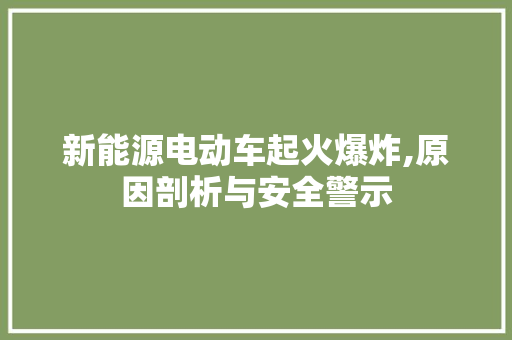新能源电动车起火爆炸,原因剖析与安全警示