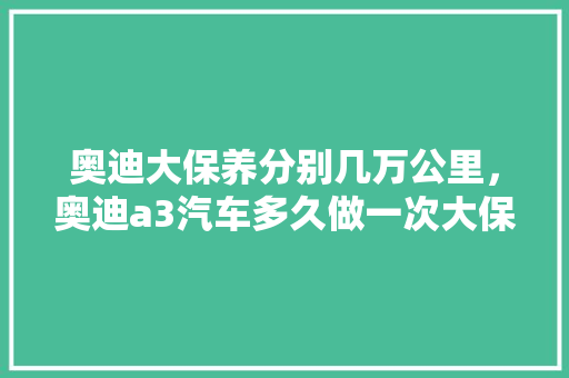 奥迪大保养分别几万公里，奥迪a3汽车多久做一次大保养比较好。  第1张 奥迪大保养分别几万公里，奥迪a3汽车多久做一次大保养比较好。 新能源