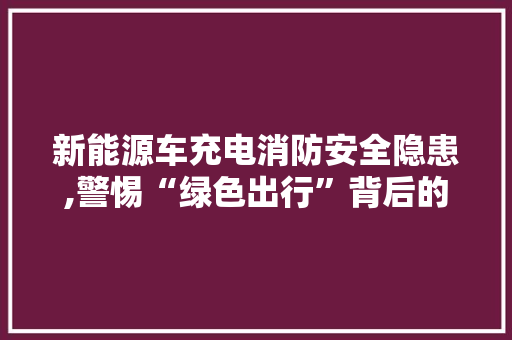 新能源车充电消防安全隐患,警惕“绿色出行”背后的风险