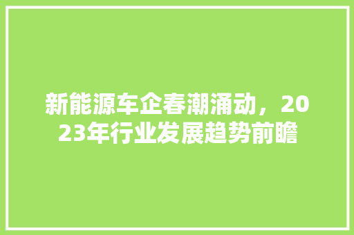 新能源车企春潮涌动，2023年行业发展趋势前瞻