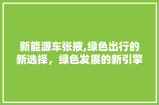 新能源车张掖,绿色出行的新选择，绿色发展的新引擎