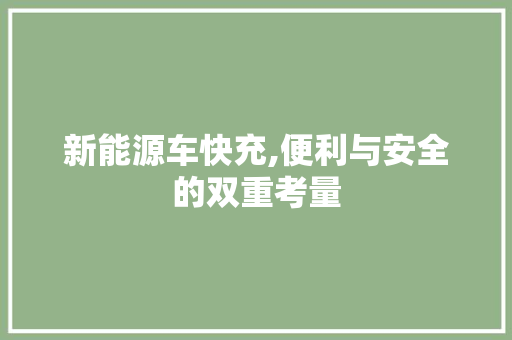 新能源车快充,便利与安全的双重考量