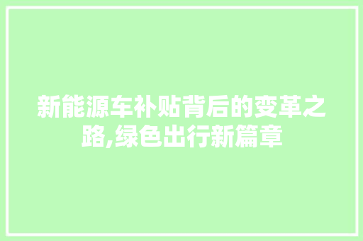 新能源车补贴背后的变革之路,绿色出行新篇章 新车
