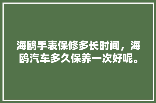 海鸥手表保修多长时间，海鸥汽车多久保养一次好呢。