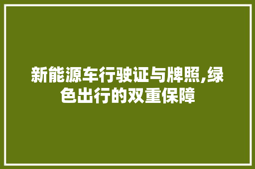 新能源车行驶证与牌照,绿色出行的双重保障
