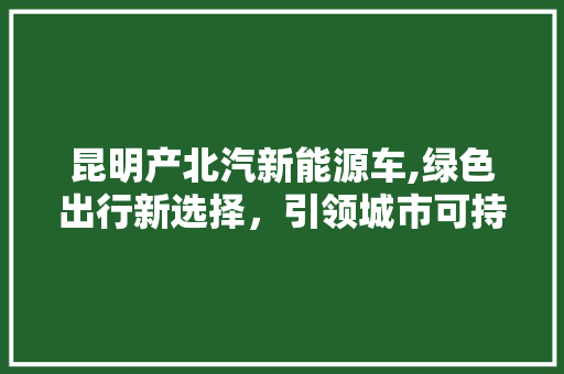 昆明产北汽新能源车,绿色出行新选择，引领城市可持续发展
