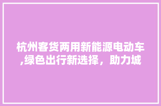 杭州客货两用新能源电动车,绿色出行新选择，助力城市可持续发展