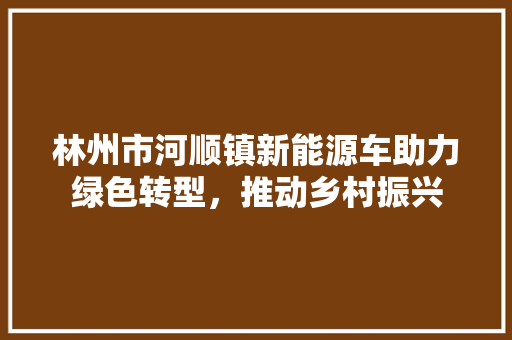林州市河顺镇新能源车助力绿色转型，推动乡村振兴