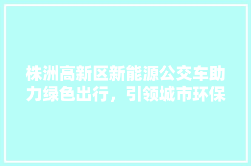株洲高新区新能源公交车助力绿色出行，引领城市环保新风尚